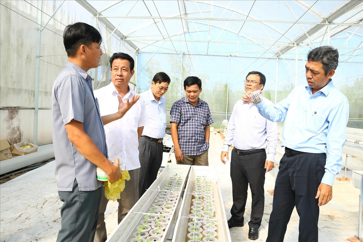 Ông Trương Quốc Điền Chủ tịch UBND huyện Châu Thành, tỉnh Sóc Trăng ( Bìa Phải) tham quan các mô hình áp dụng khoa học kỷ thuật của đồng bào vừa chuyển đổi nghề