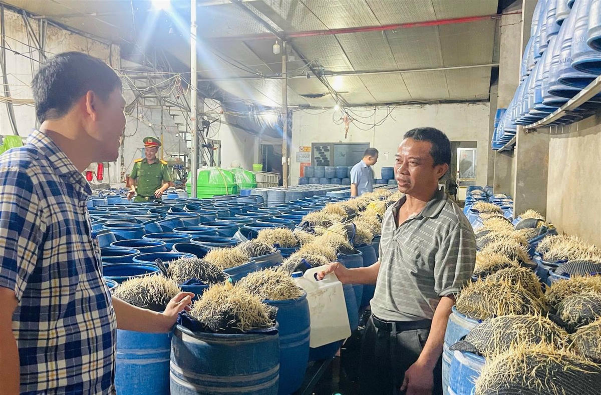 Việc sử dụng chất này có thể gây ra những hậu quả nghiêm trọng đến sức khỏe người tiêu dùng, bao gồm tổn thương gan, thận, phổi và nguy cơ dẫn đến tử vong nếu tiếp xúc lâu dài. Ảnh: Tống Huệ - ANTV Lào Cai.