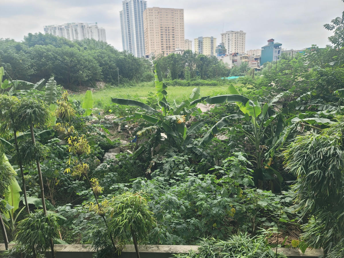 Là chung cư cao cấp tại Hà Nội, nhưng nhiều năm nay Seasons Avenue bị cả 