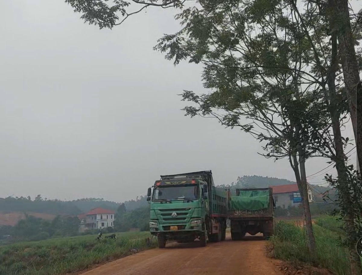 Những xe chở đất từ khu 9 đi.