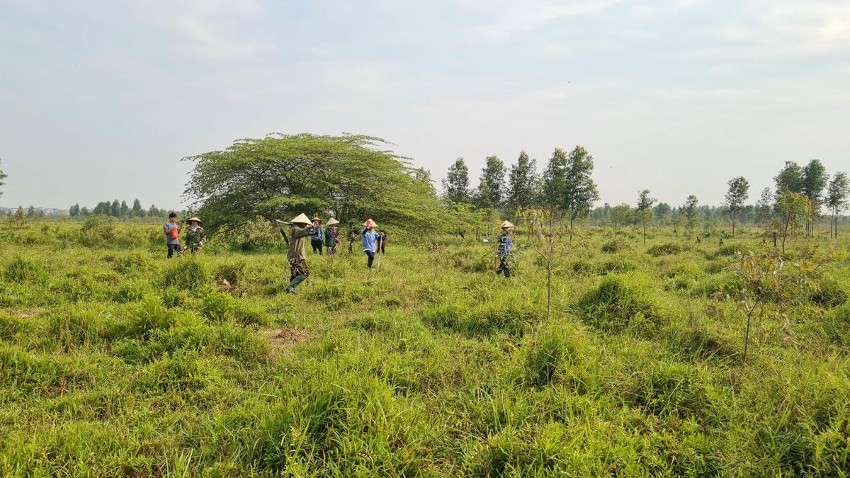 Ngay sau khi Công ty TNHH khoáng sản Sông Hồng được cấp Giấy phép khai thác khoáng sản, nhiều người dân đã tự ý ra trồng cây trên đất công ích do UBND phường Minh Nông quản lý.