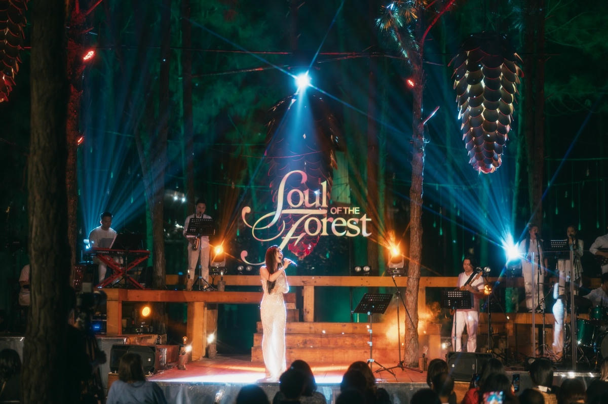 Phượng Vũ da diết với những bản tình ca trong đêm nhạc Tình đầu.