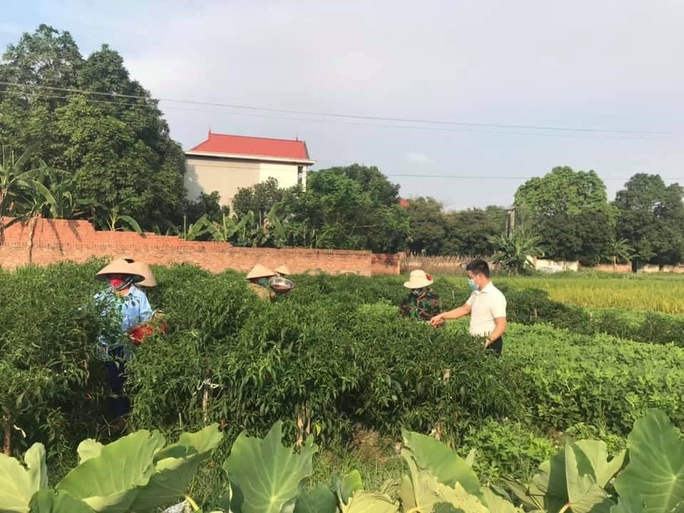 Đời sống người dân vùng DTTS và miền núi của tỉnh Vĩnh Phúc ngày càng được nâng cao.