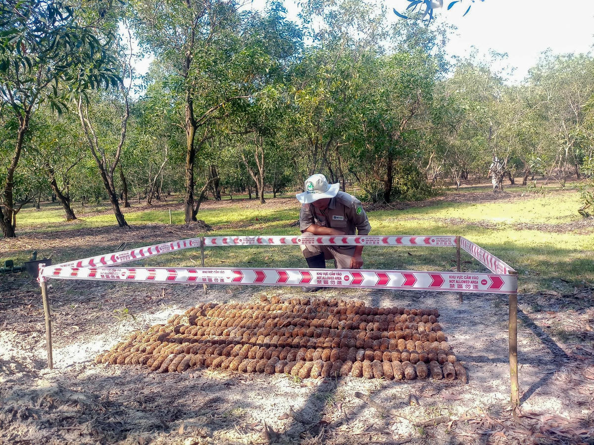 Các đội rà phá NPA/RENEW vừa phát hiện một hầm chứa gồm 299 vật liệu nổ. Ảnh: NPA/RENEW.