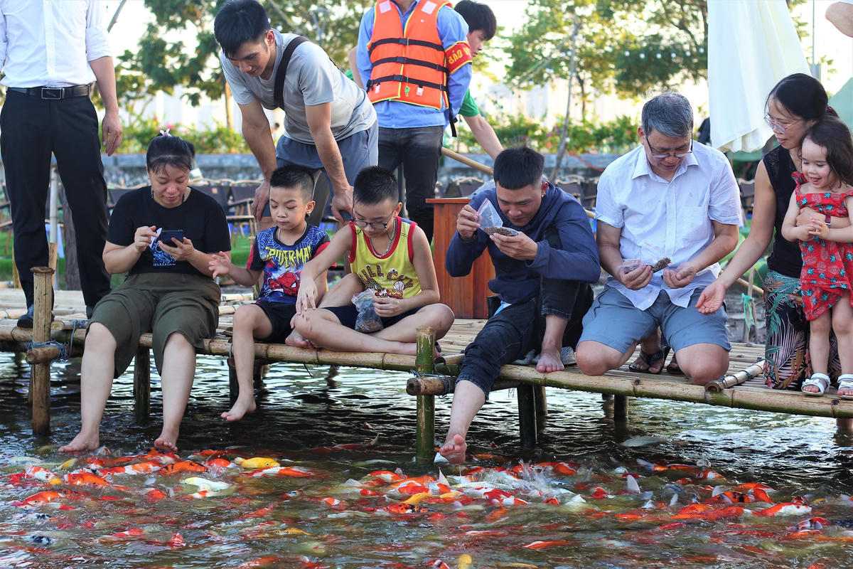 Vào những buổi chiều mát, người người tìm đến hồ cá Koi, vừa để chiêm ngưỡng vừa để cho cá ăn.
