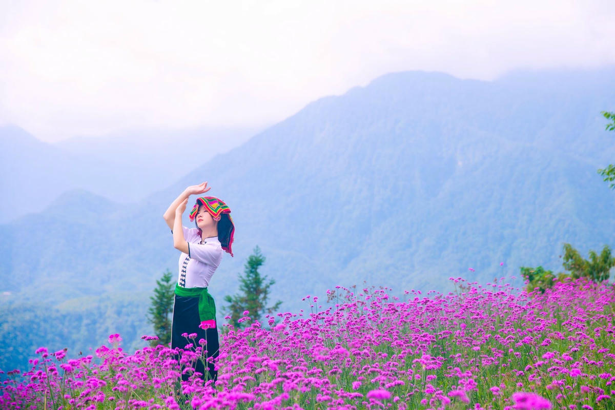 Đồi hoa tím ngọt ngào làm xiêu lòng du khách đến Fansipan.