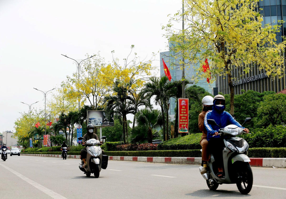 Trong những ngày hoa nở, sắc vàng tươi tắn của muồng hoàng yến thu hút sự chú ý của rất nhiều người đi đường, ai ai cũng ngẩn ngơ trước khung cảnh quá lãng mạn của hoa muồng hoàng yến. Ảnh: Cẩm Kỳ