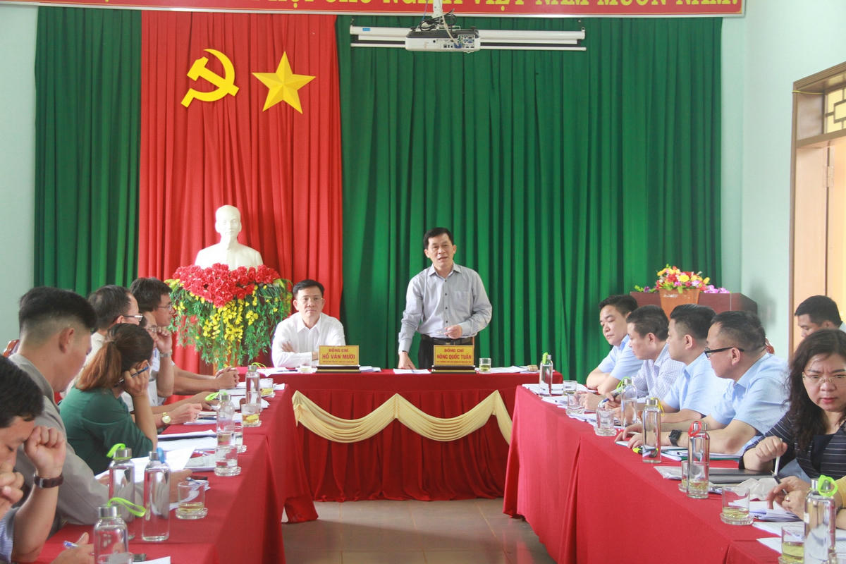 Thứ trưởng Nông Quốc Tuấn phát biểu tại buổi làm việc.