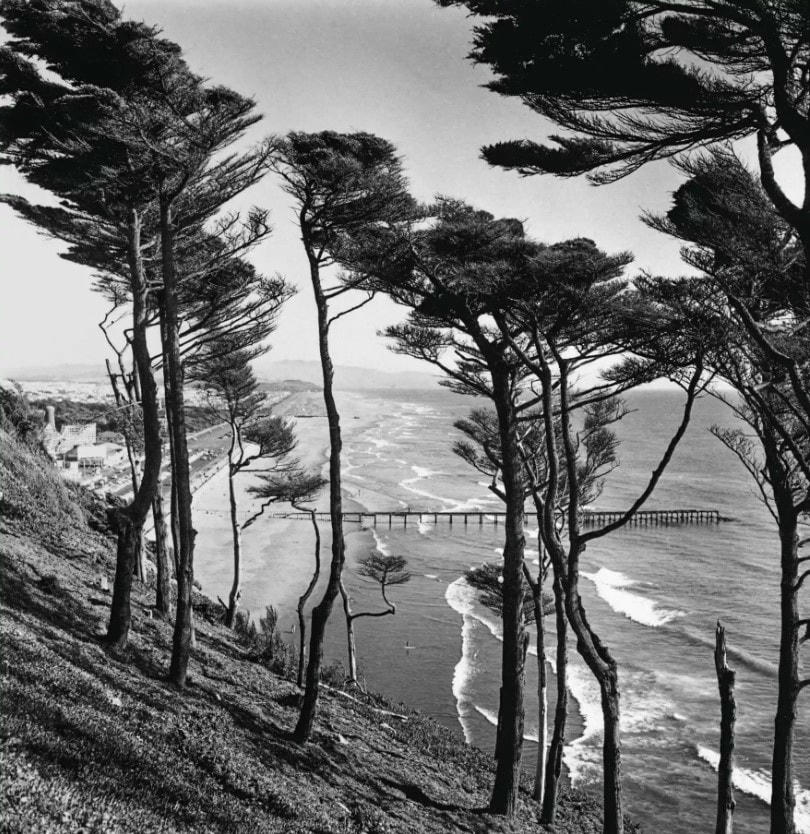 Sương mù được coi là một điểm nhấn ở San Francisco. Ảnh: The Guardian.