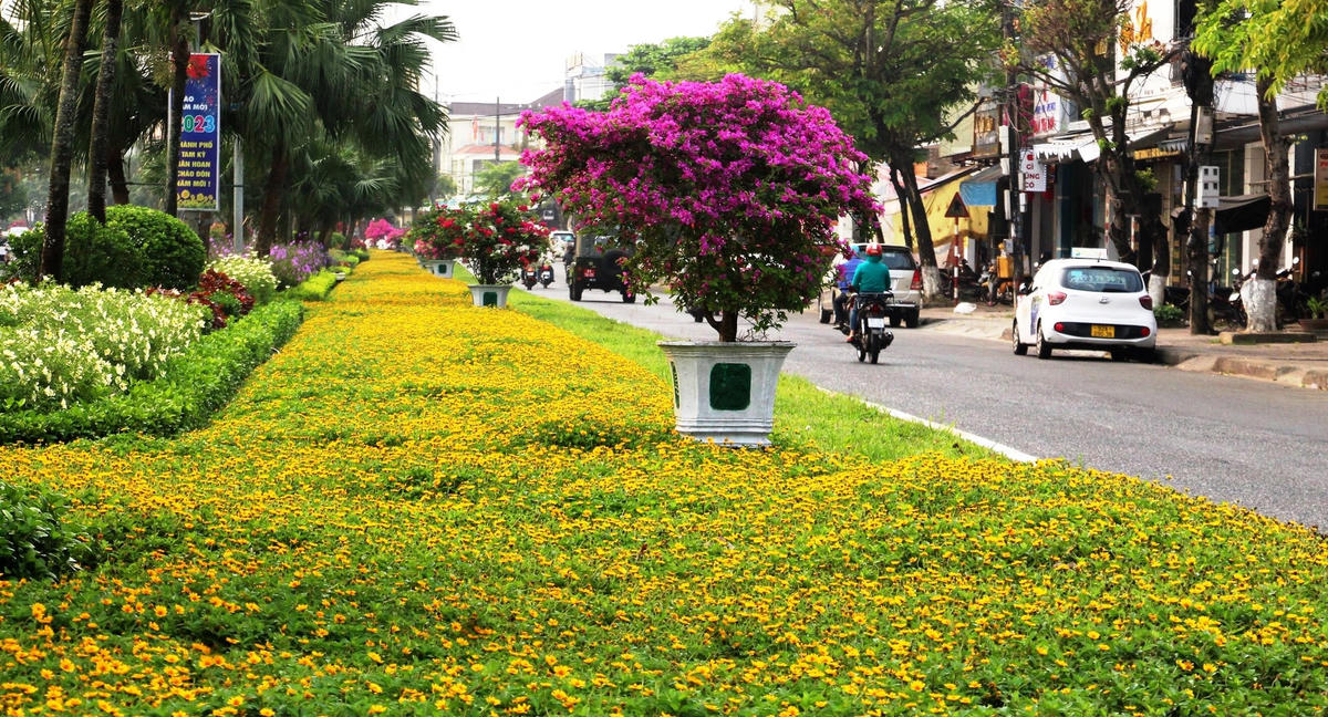 Đường Hùng Vương, TP Tam Kỳ rực rỡ sắc hoa.