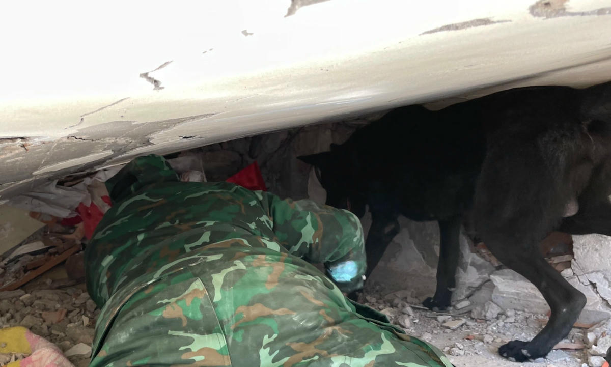 Sử dụng chó nghiệp vụ tham gia tìm kiếm các nạn nhân (Ảnh: Văn Hiếu/QĐND).