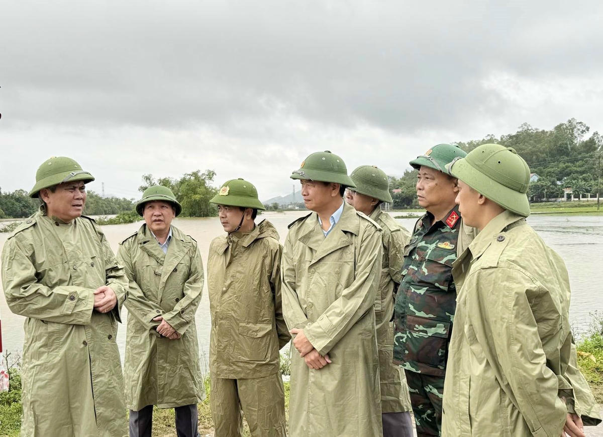 ảnh 1 bài dưới