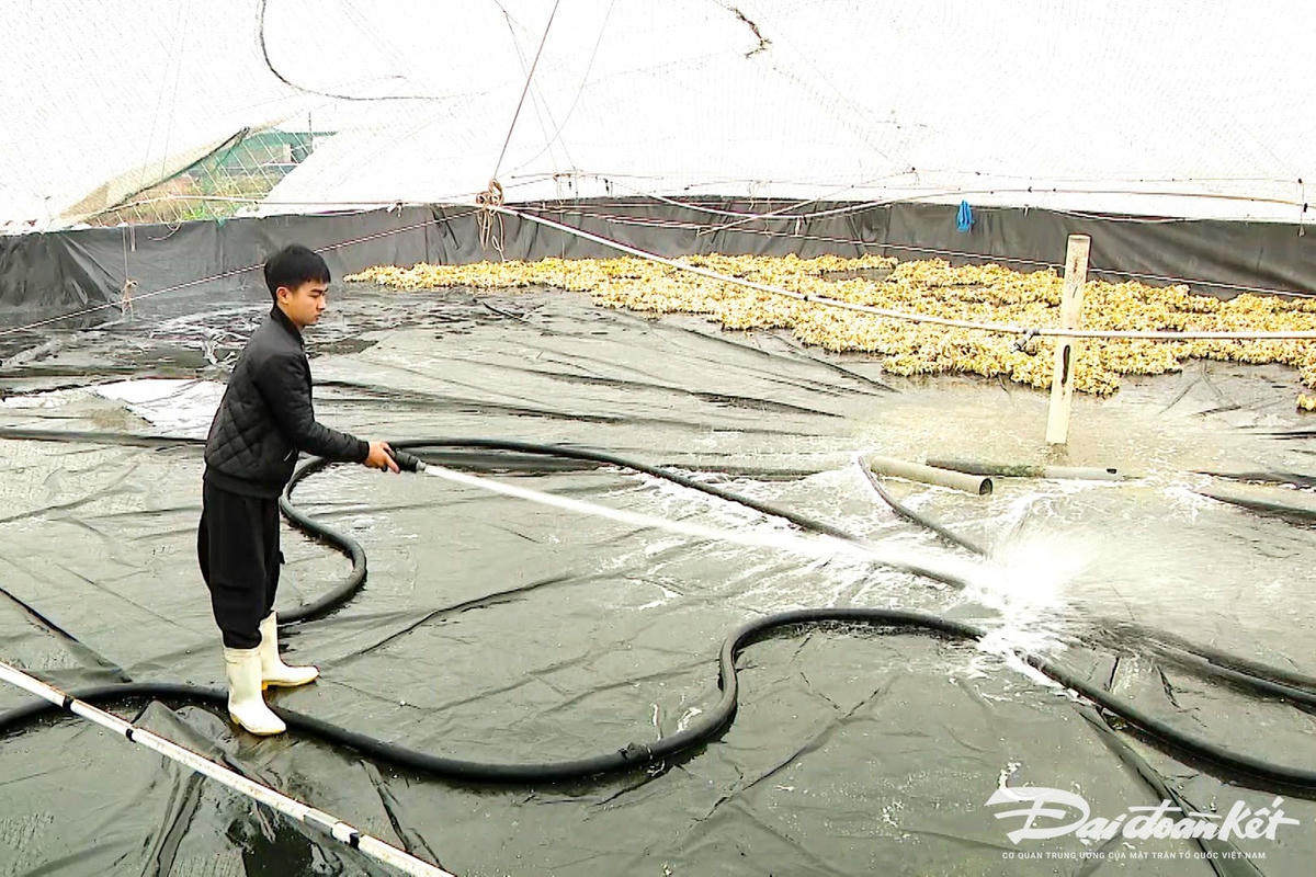 phan_3_hoi_thao_quoc_te_tham_luan_tai_hoi_thao_c_ninh_sua_00_01_20_11_still009_10542007032025 (1)