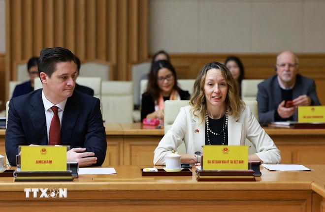 Đại diện Đại sứ quán Hoa Kỳ tại Việt Nam phát biểu tại tọa đàm. (Ảnh: Dương Giang/TTXVN) ttxvn-0103-thu-tuong-doanh-nghiep-hoa-ky-7.jpg