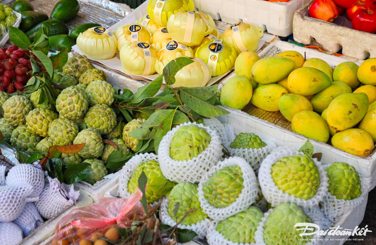 Ảnh màn hình 2025-01-21 lúc 09.31.51