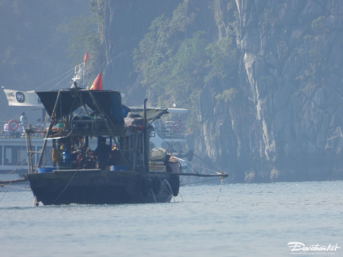 Một chiếc tàu giã cào đang hoạt động khu vực hòn Dầm Bắc.