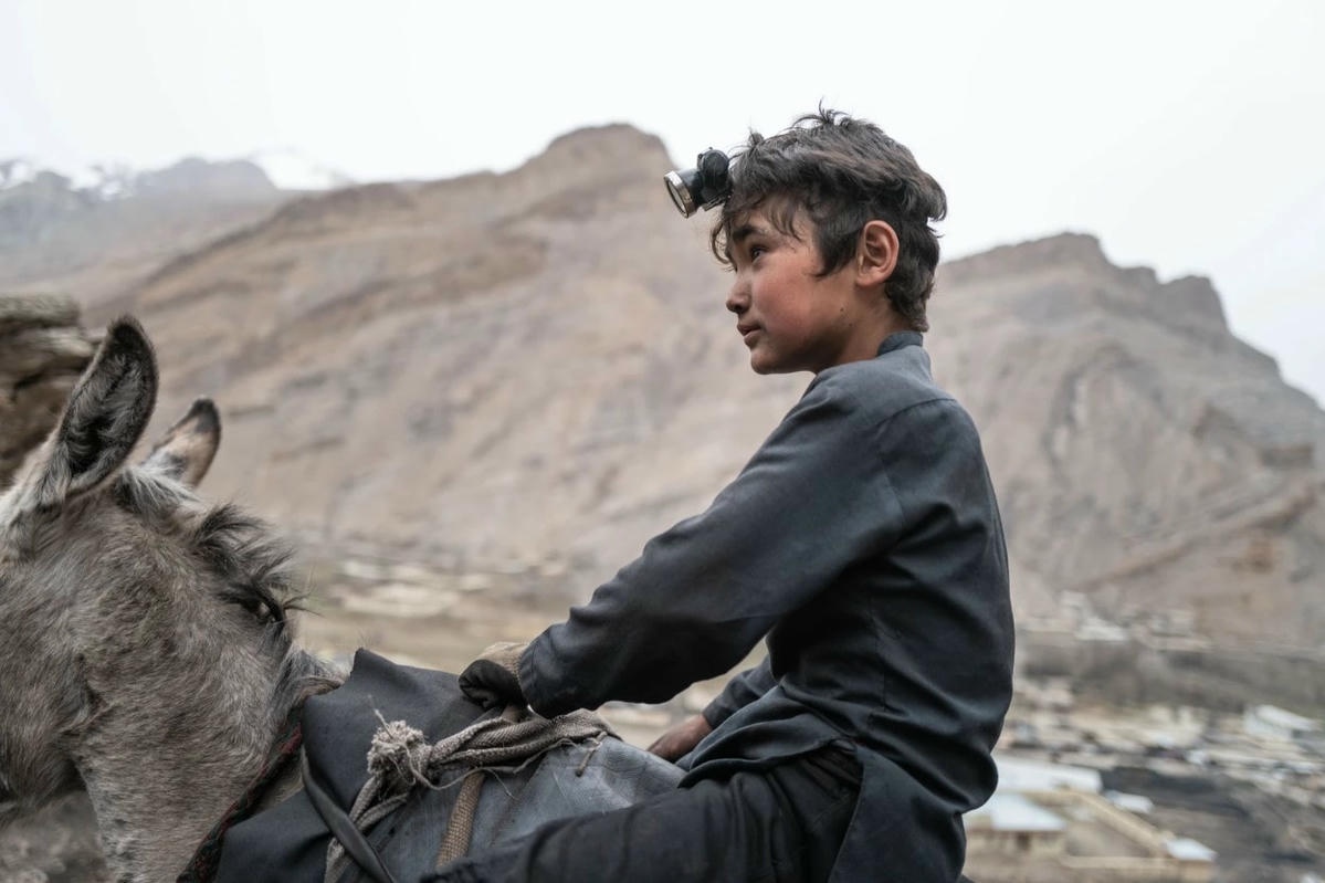 Những người chăn lừa chở đầy than. Ảnh: VICE.