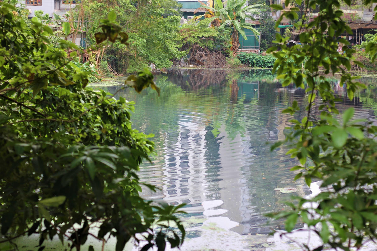 Mặt hồ ô nhiễm được trao trả lại sự trong xanh vốn có