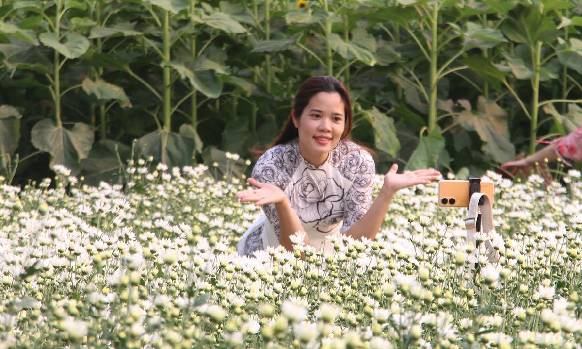Một bạn trẻ tạo kiểu dáng bên vườn hoa cúc trắng.