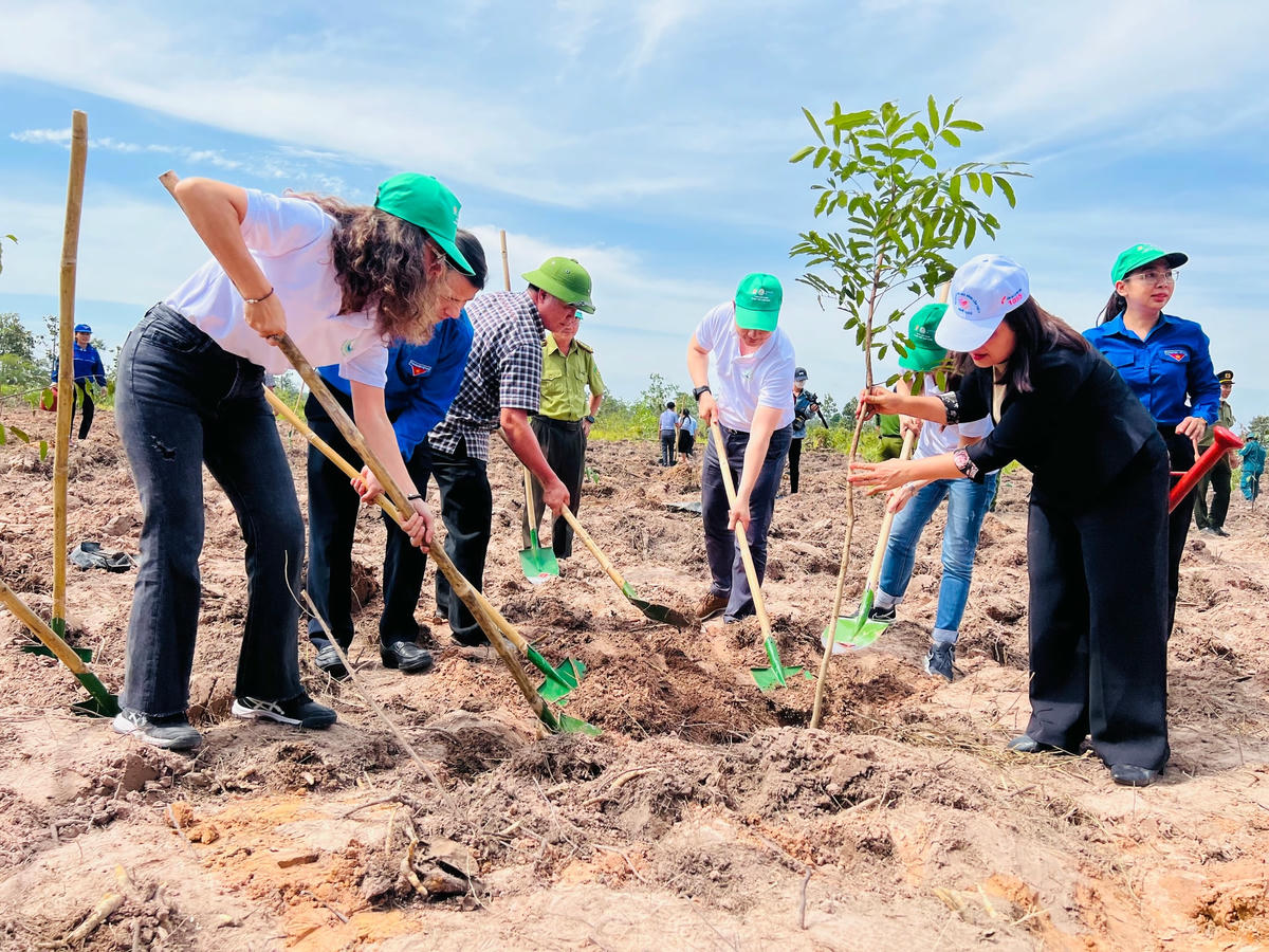 Các đại biểu về dự Lễ tham gia trồng cây.
