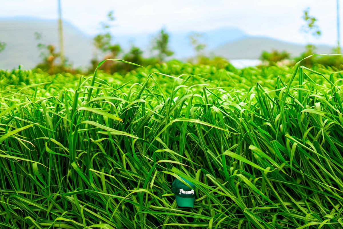 Farm tour VBCSD - 07a