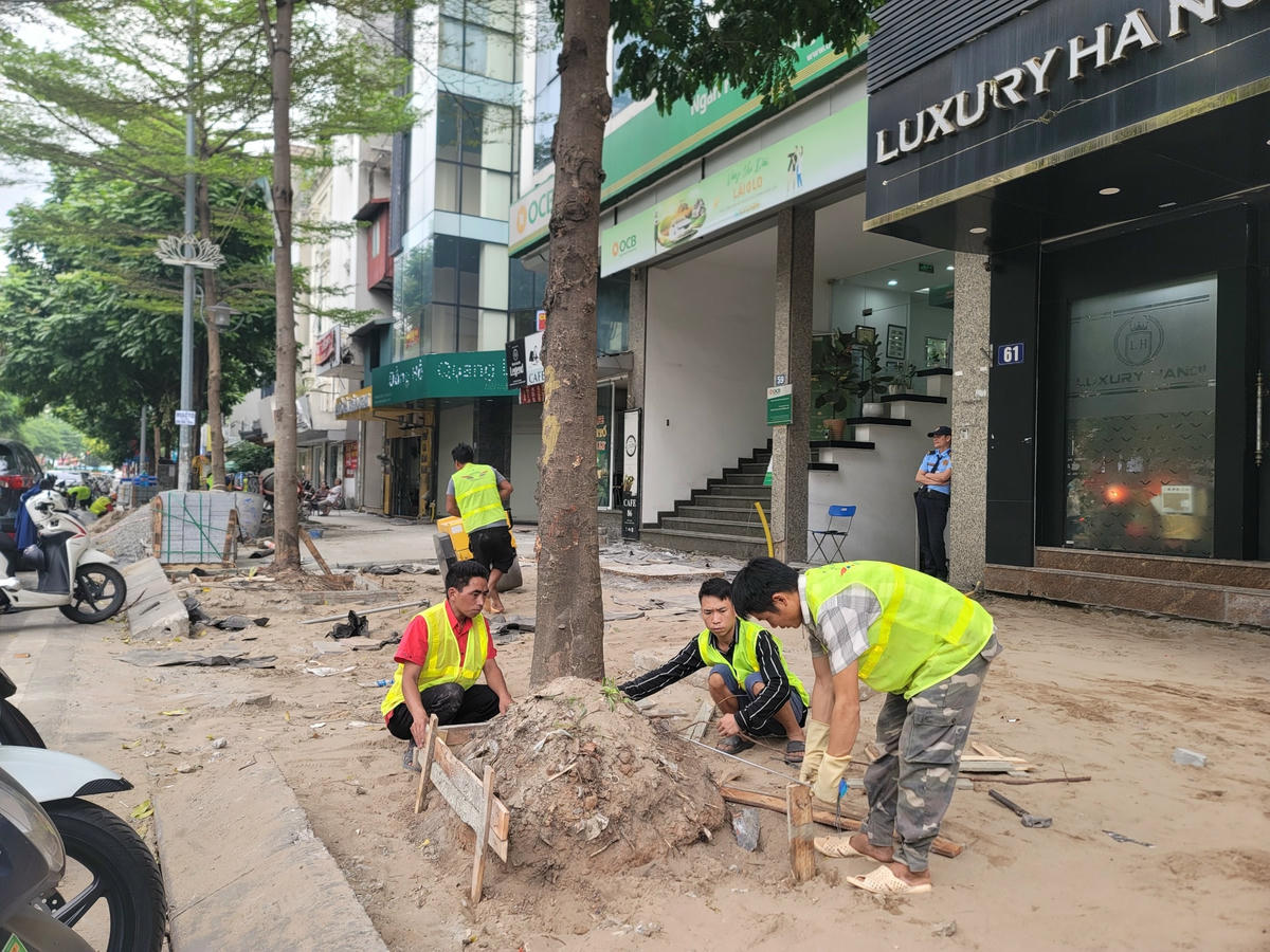 Ngoài vỉa hè, các hạng mục bồn cây, bó vỉa hè cũng được cải tạo.