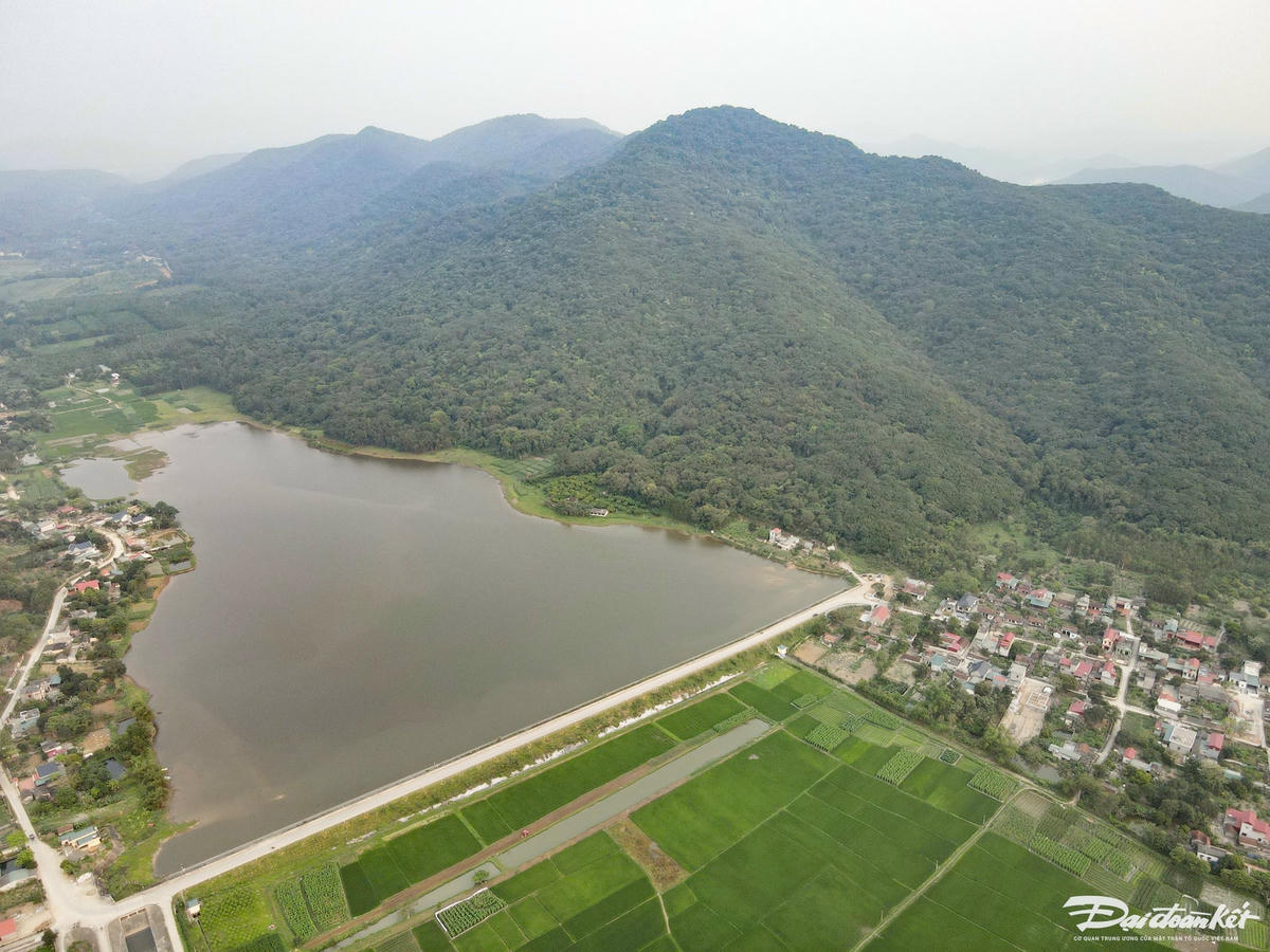 Với diện tích rộng hơn 500 ha, rừng sến Tam Quy được xem là khu bảo tồn loài sến mật duy nhất ở Việt Nam và lớn nhất Đông Nam Á. Ảnh: Đình Minh