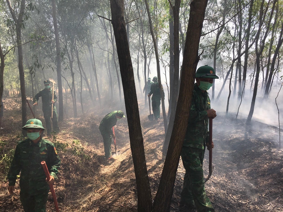 Đám cháy xảy ra trong thời tiết nắng nóng, gió to và trên địa hình đất cát khiến công tác chữa cháy gặp nhiều khó khăn.