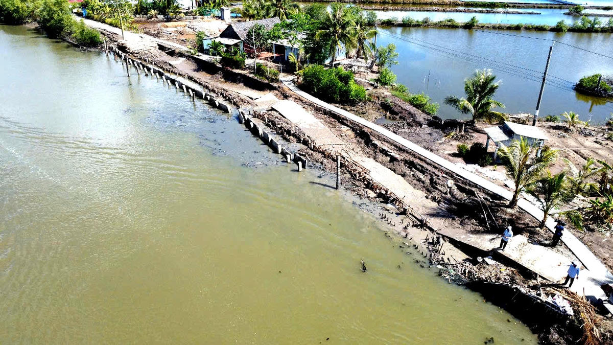 ẢNH 3 Sạt lở đất ven sông ở Cà Mau làm hư hỏng nhiều công trình do Nhà nước đầu tư, việc khắc phục hậu quả khá tốn kém.