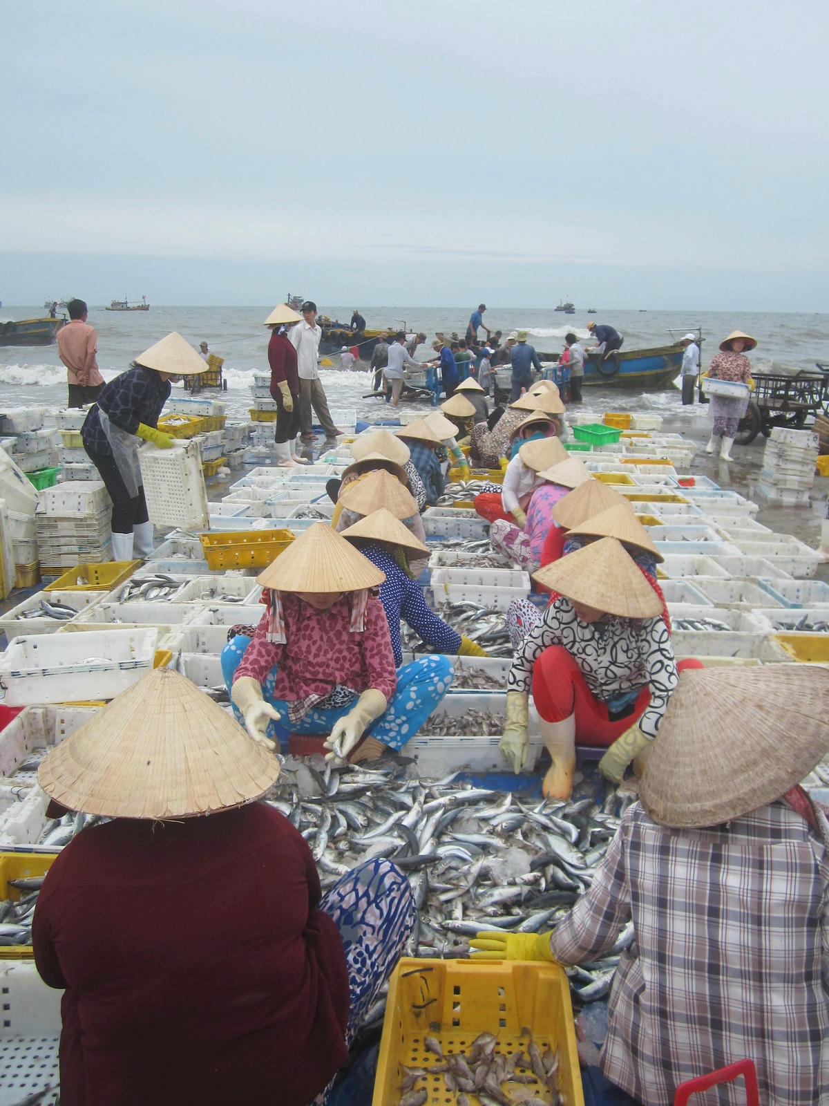 Ảnh 3-Những bóng hồng mùa biển động