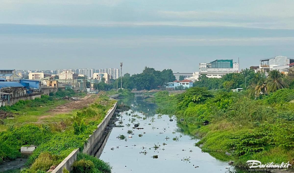Tuy nhiên, cách đó chừng gần một cây số, ở khu vực cầu Chợ Cầu (phường An Tây Hội) lại không có bóng dáng công nhân, máy móc và 2 bên bờ kênh cỏ mọc um tùm. (ảnh Đ.Xá).