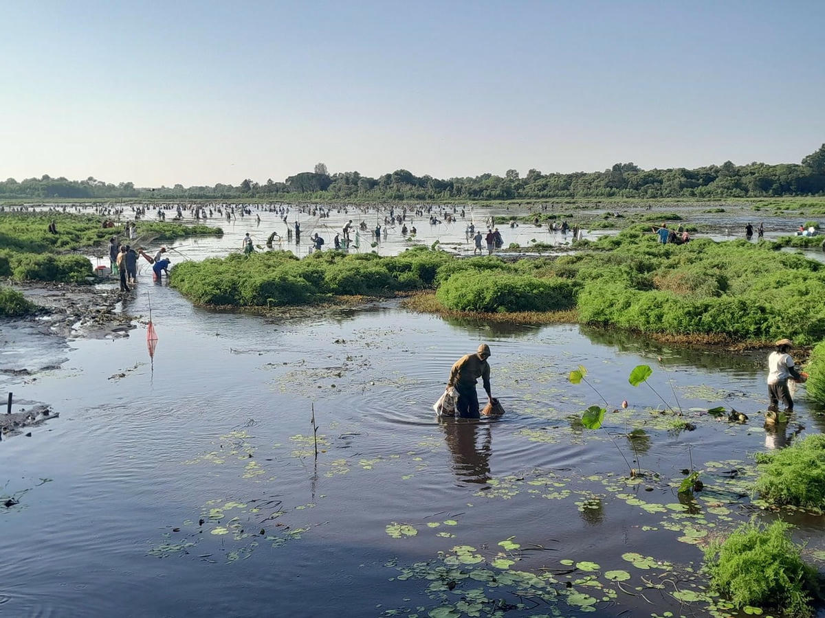 Hằng năm, sau khi thu hoạch xong vụ Hè - Thu tại đâu lại diễn ra lễ hội phá trằm thu hút rất đông người dân tham gia.