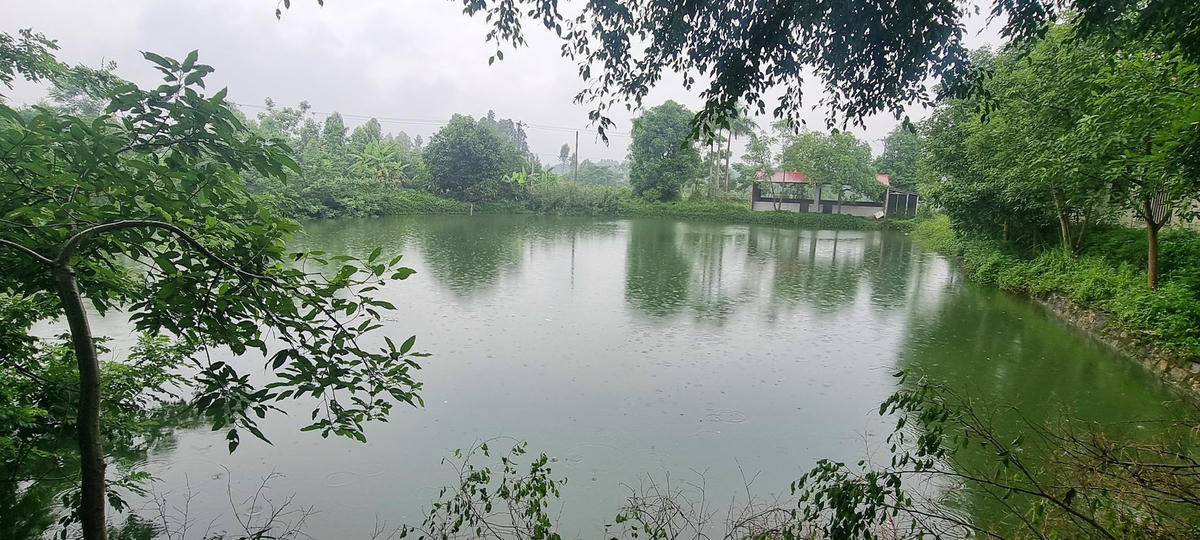 Nhà đầu tư tự ý đào ao thả cá tại trạm dừng nghỉ Km22 + 900. Ảnh: Hà An.