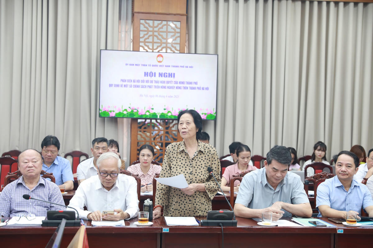 Tiến sĩ Bùi Thị Xô phát biểu tại hội nghị góp ý. 