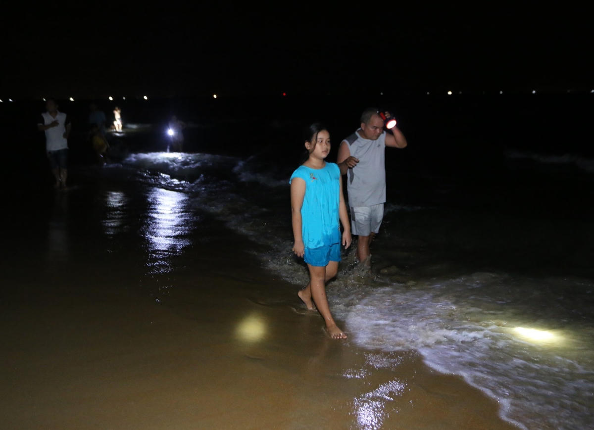 Người già, trẻ nhỏ đi dọc bờ biển bắt bạch tuộc.