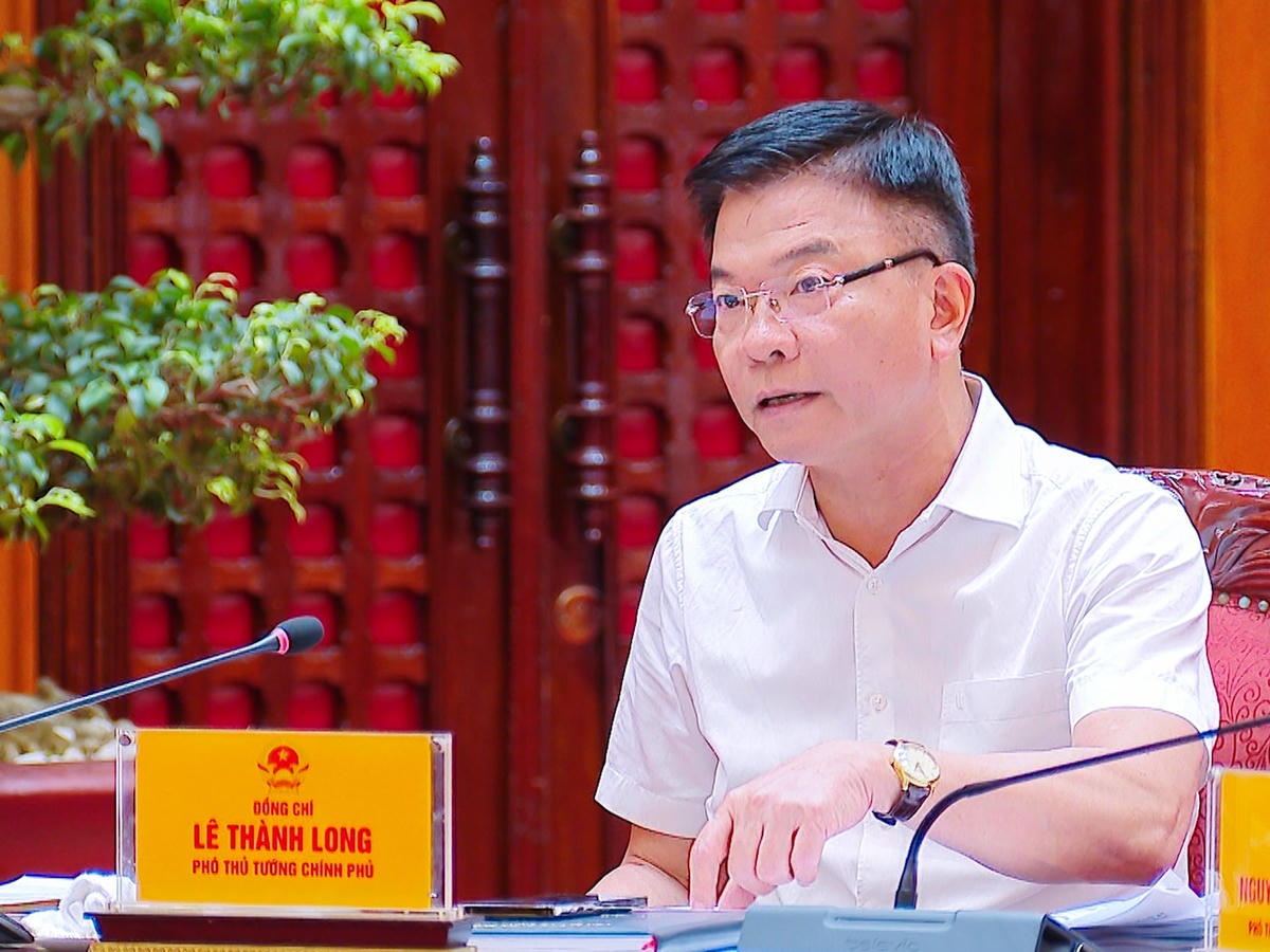 Thường trực Chính phủ cho ý kiến về 4 nội dung quan trọng- Ảnh 4. Thường trực Chính phủ cho ý kiến về 4 nội dung quan trọng- Ảnh 4.