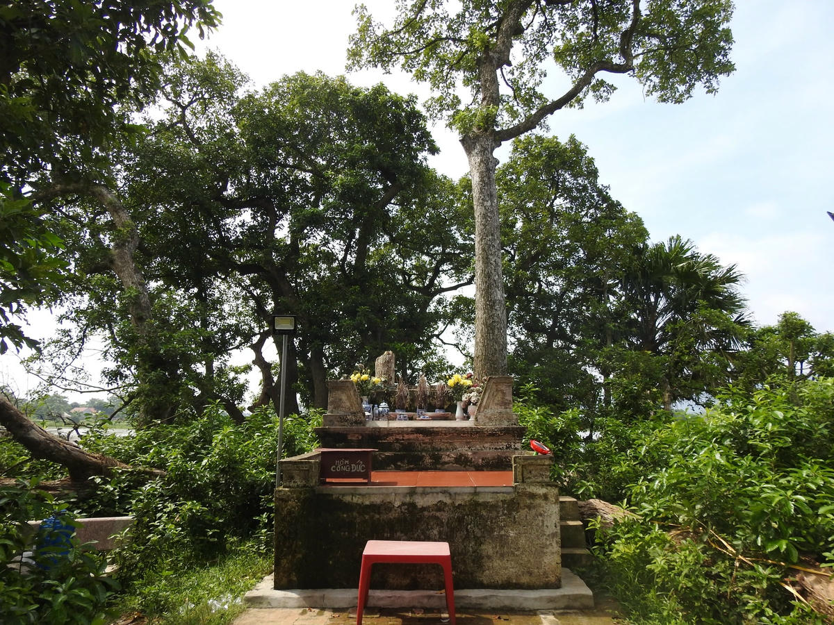 Giữa gò hiện ra ngôi mộ cổ gắn biển mờ