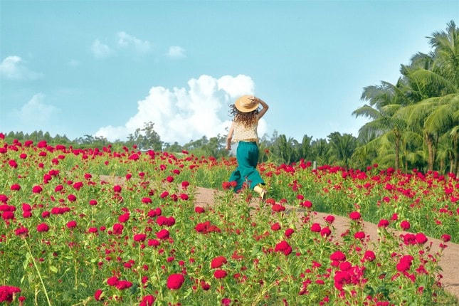 Ngồi nơi cửa nhà, nghĩ về hạnh phúc ảnh 2