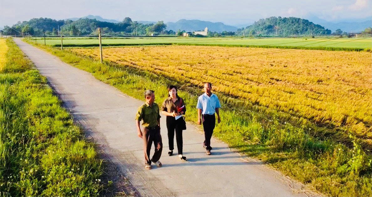 Những con đường bê tông thẳng tắp ra tận cánh đồng phục vụ người dân đi lại sản xuất thuận tiện hơn.