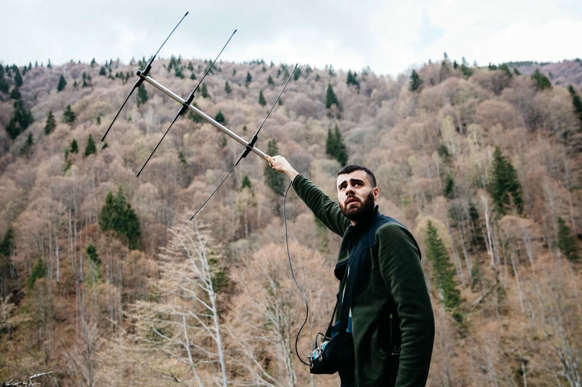 Kiểm lâm FCC Robert Bulgaru vẫy một ăng-ten trong nỗ lực thu được tín hiệu vô tuyến để xác định vị trí của bò rừng, một số trong số đó đang đeo vòng cổ theo dõi. Ảnh: The Guardian.