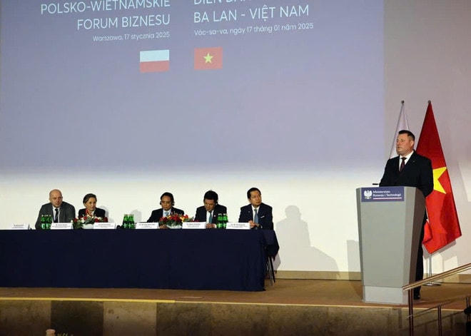 Lũy kế tới hết tháng 12/2024, Ba Lan có 33 dự án đầu tư tại Việt Nam với tổng số vốn đăng ký gần 500 triệu USD. (Ảnh: PV/Vietnam+) dien3.jpg