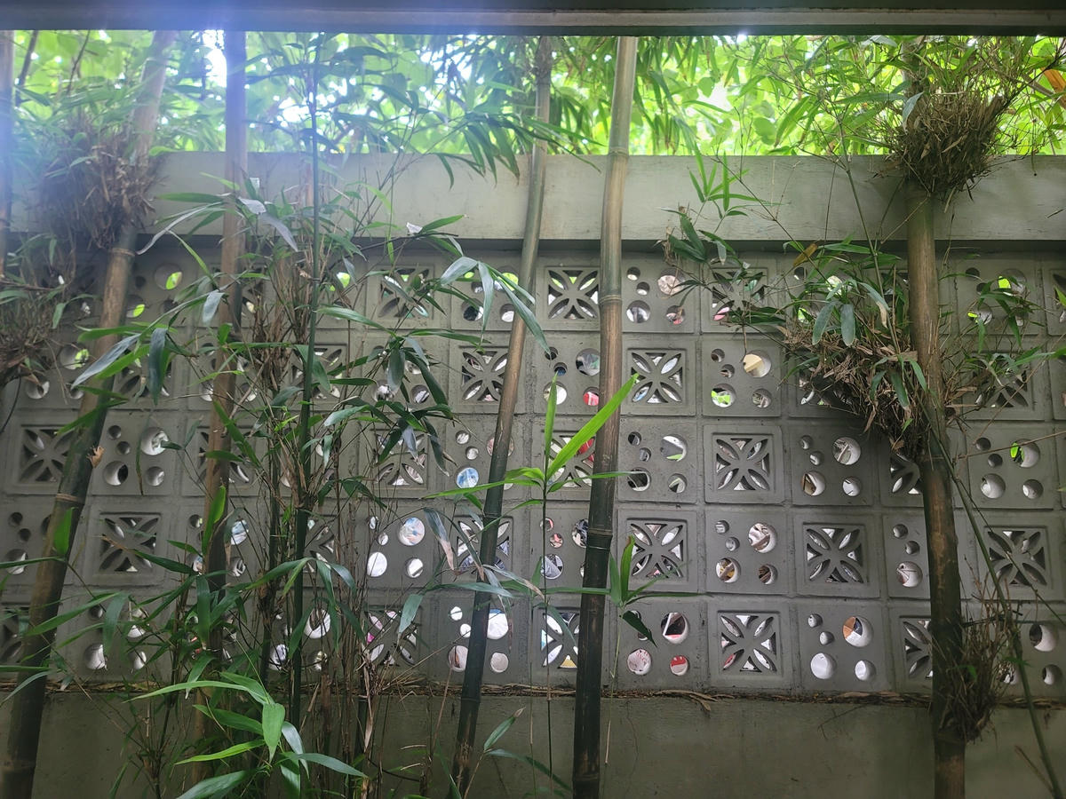 Rác tập kết từng đống cao bên ngoài, chạy dọc tường bao của chung cư. 