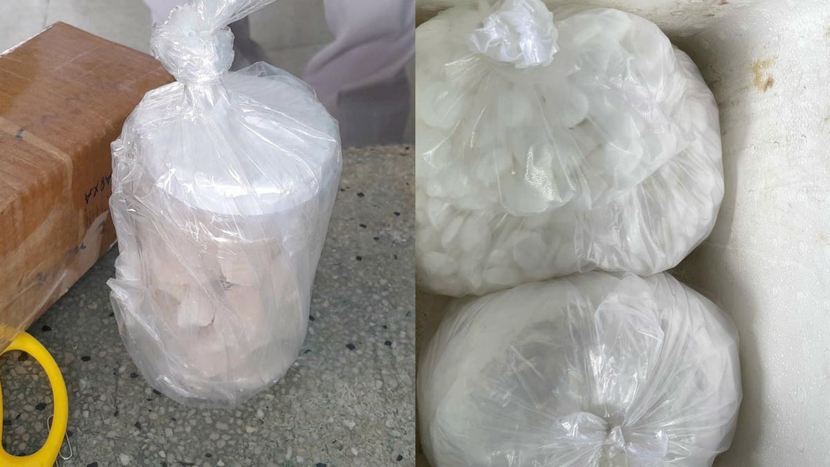 Ảnh 7 - Tang vật