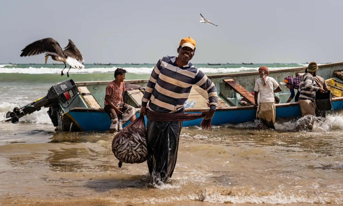 Một ngư dân quay trở lại bờ với số cá đánh bắt được trong ngày tại làng Sayhut, giữa Itab và Sharkhut. Ảnh: The Guardian.