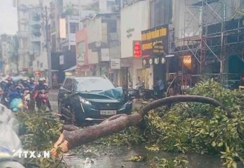 Hiện trường một vụ cây xanh ngã, đổ tại Thành phố Hồ Chí Minh. (Ảnh: Linh Sơn/TTXVN phát)