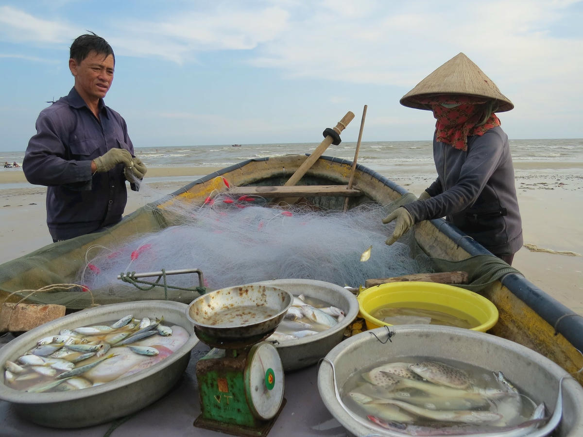 Ảnh 1-Về biển La Gàn đón bình minh, gỡ cá thúng cùng ngư dân điểm đến