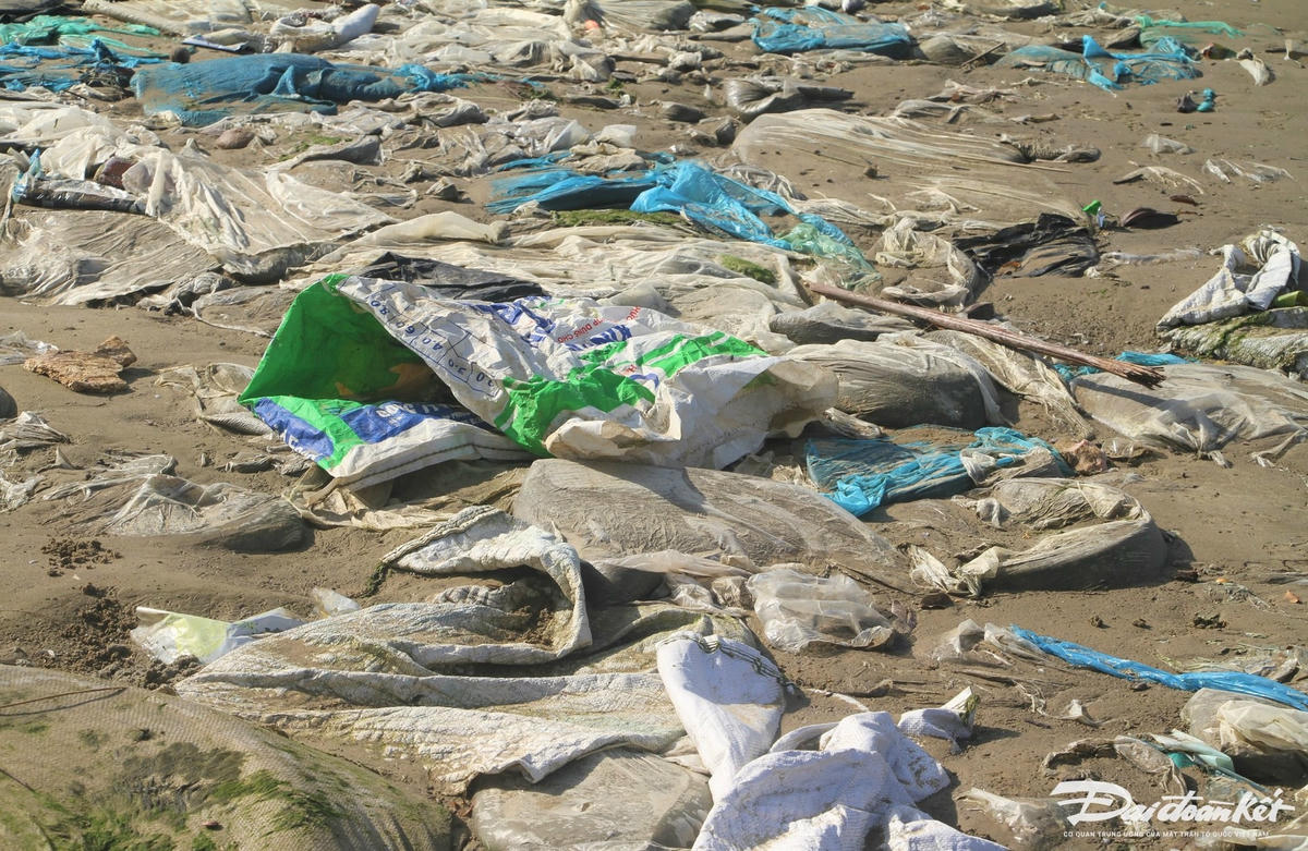 Túi ni lông, bao tời nằm ngổn ngang bờ biển Sa Cần. Ảnh: Chí Đại.