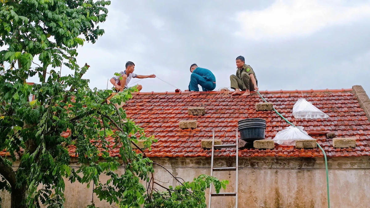 Chính quyền Móng Cái