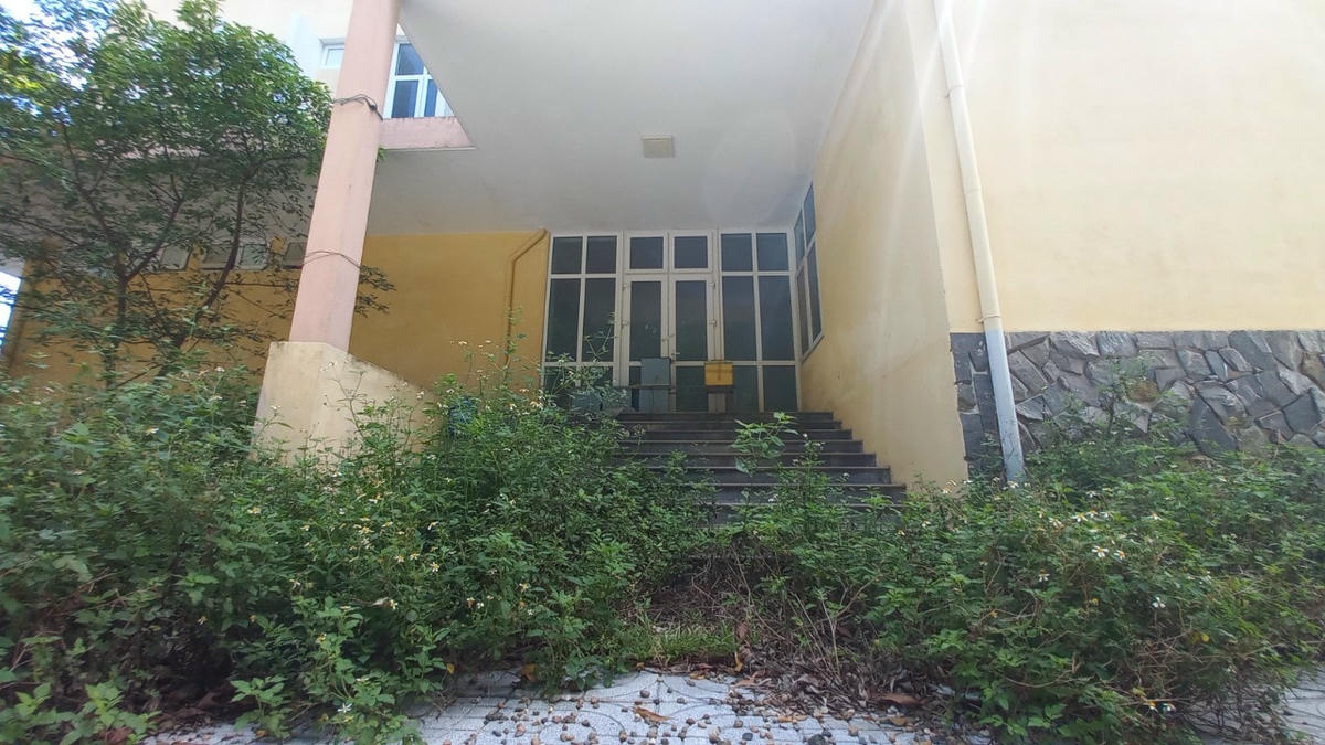 Cây cối cỏ dại mọc um tùm tại các lối đi.