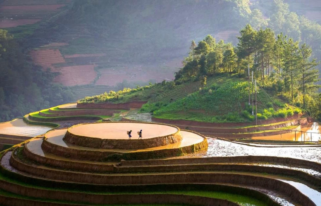 Thời gian này ở Mù Cang Chải (Yên Bái) cũng đang độ nước đổ. Tháng 12/2022, Di tích Quốc gia đặc biệt danh lam thắng cảnh ruộng bậc thang Mù Cang Chải đã được công nhận. Trên đây là ảnh